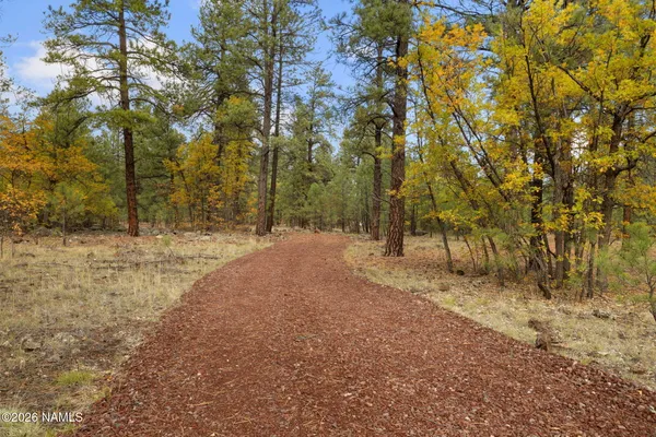 a view of dirt field with trees in the background