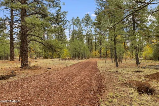 a view of yard covered with snow