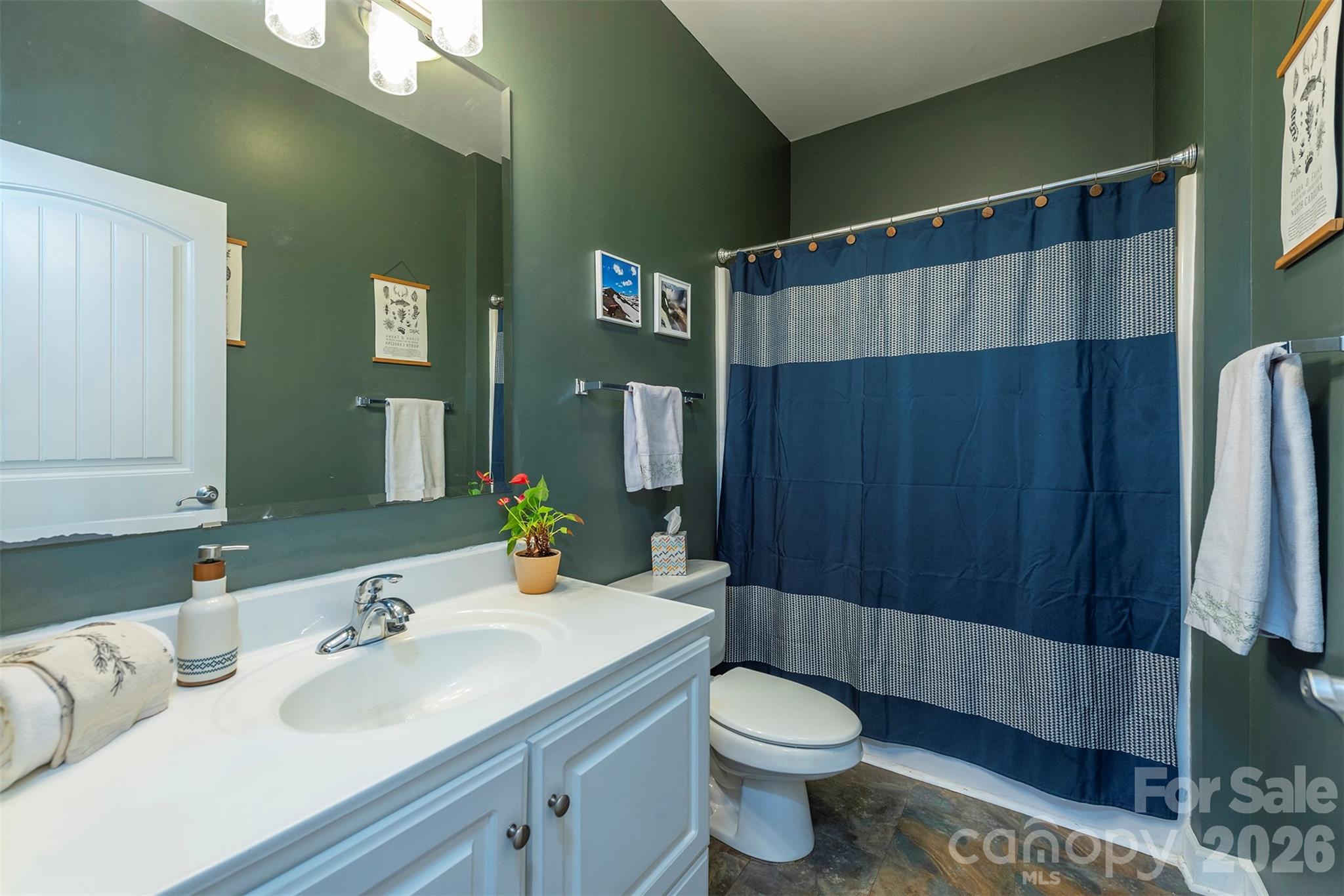 243 Scenic Ridge Drive Hendersonville, NC 28792 - Photo 23 of 47 a bathroom with a sink a toilet and shower