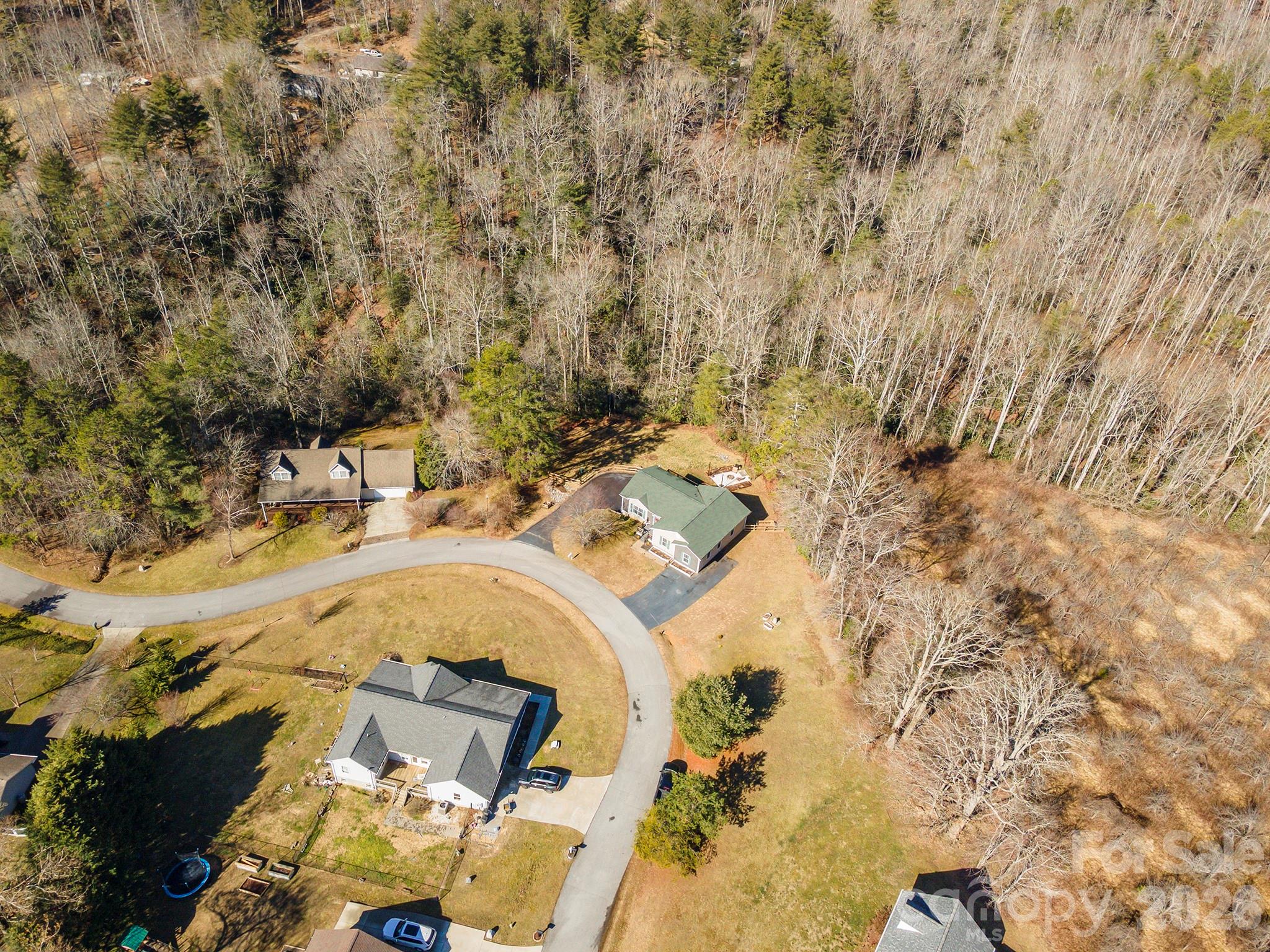 243 Scenic Ridge Drive Hendersonville, NC 28792 - Photo 6 of 47