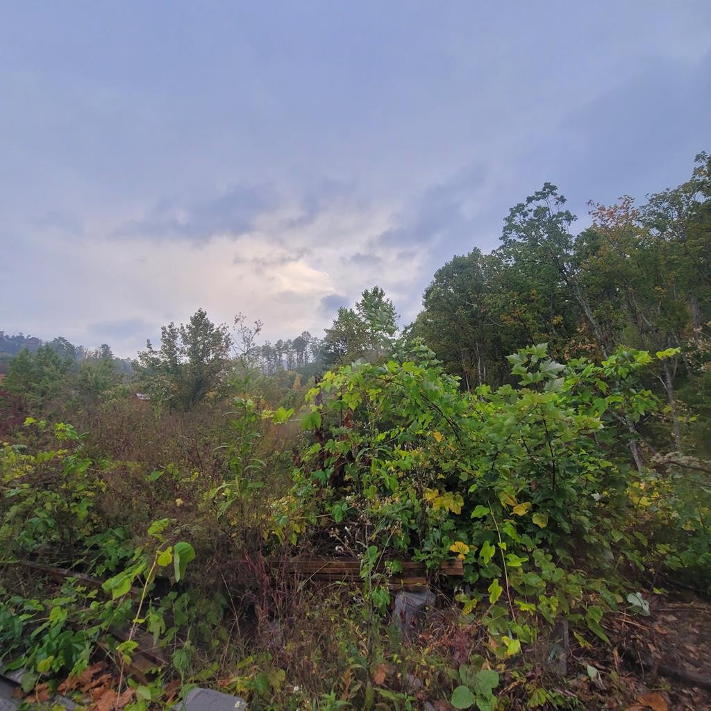 36 Blue Tick Way Sevierville, TN 37876 - Photo 6 of 25