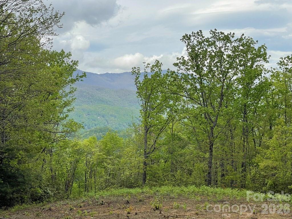 700 Copperhead Cove Road Sylva, NC 28779 - Photo 17 of 23
