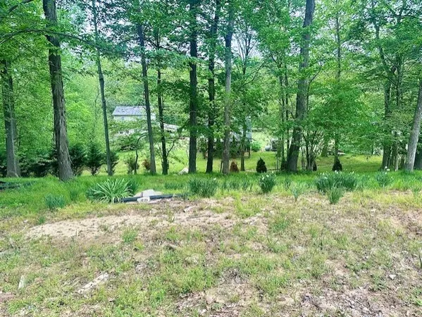 a view of backyard with green space
