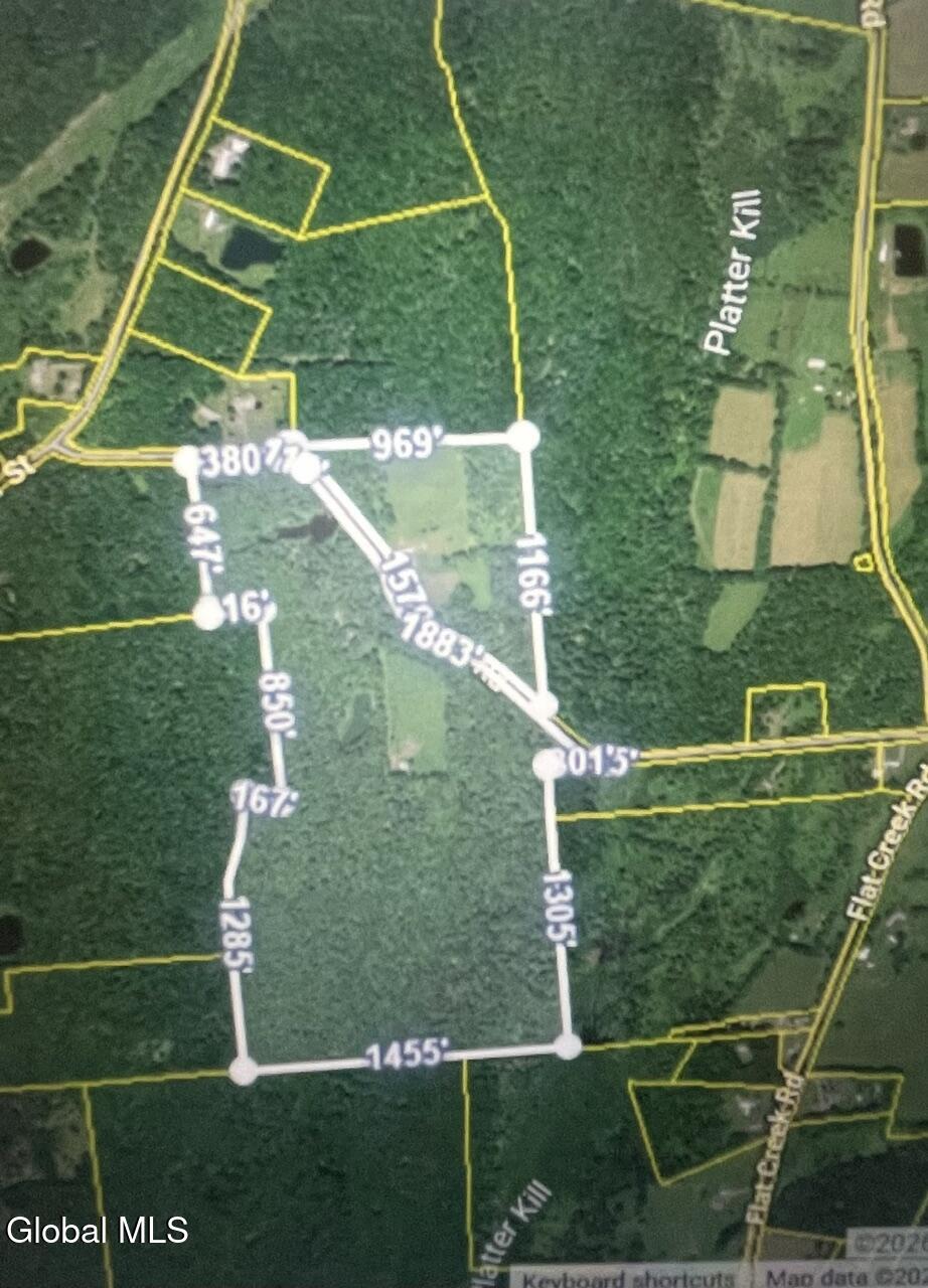159 Ely Road Gilboa, NY 12076 - Photo 3 of 83 Land on two sides of Ely Rd.