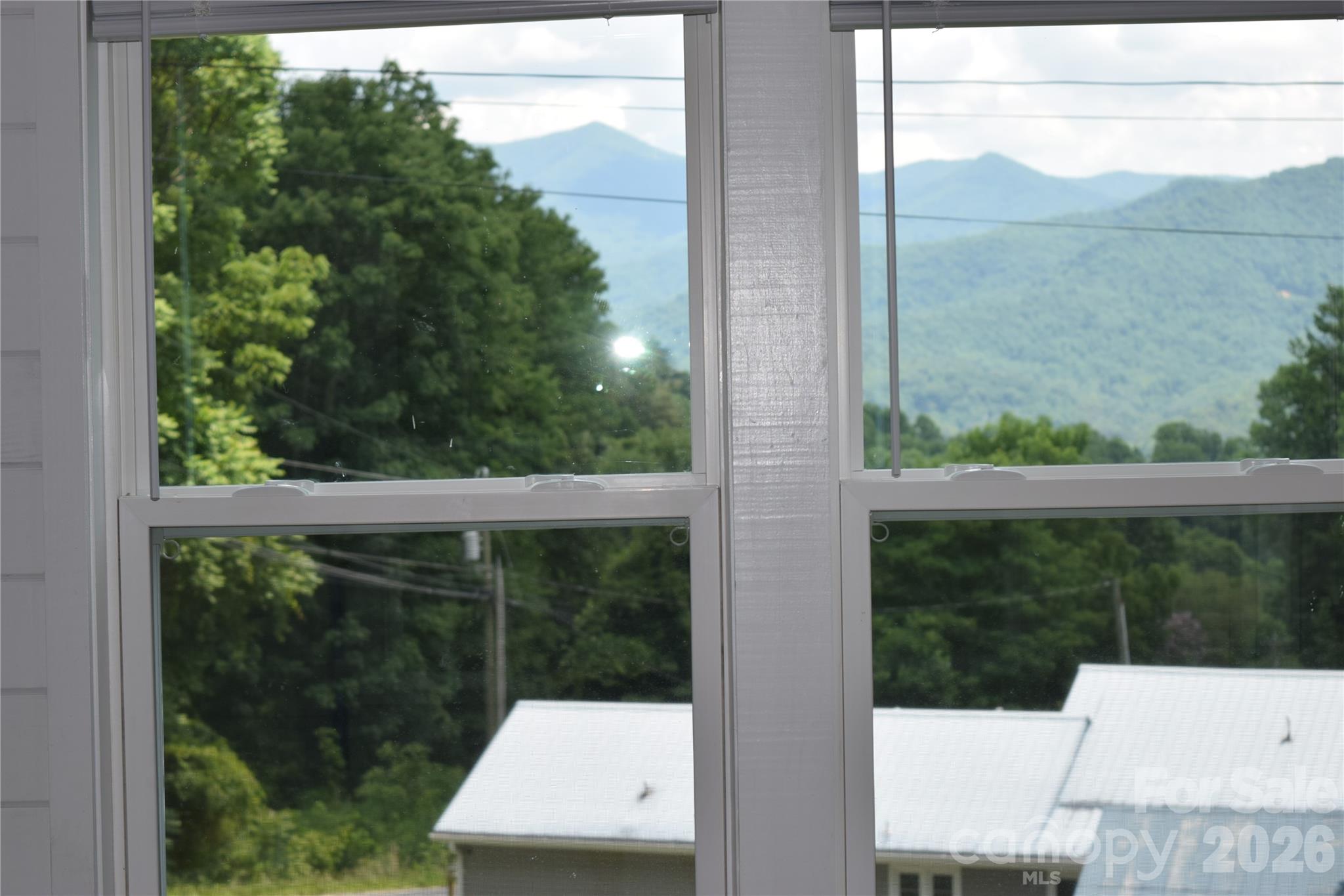 619 Kitchens Branch Road Sylva, NC 28779 - Photo 10 of 31