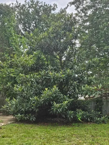 $280,000 | 235 Ocklawaha Circle, Quincy, FL 32351