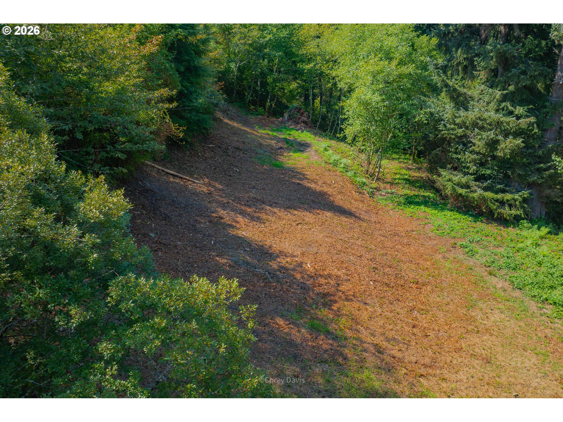 0 Dewolf Road, Unit LOT 16 Nehalem, OR 97131 - Photo 5 of 14