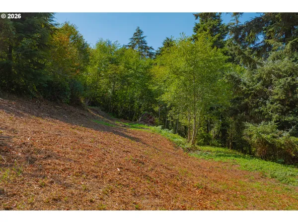$239,000 | 0 Dewolf Road, Unit LOT 16, Nehalem, OR 97131
