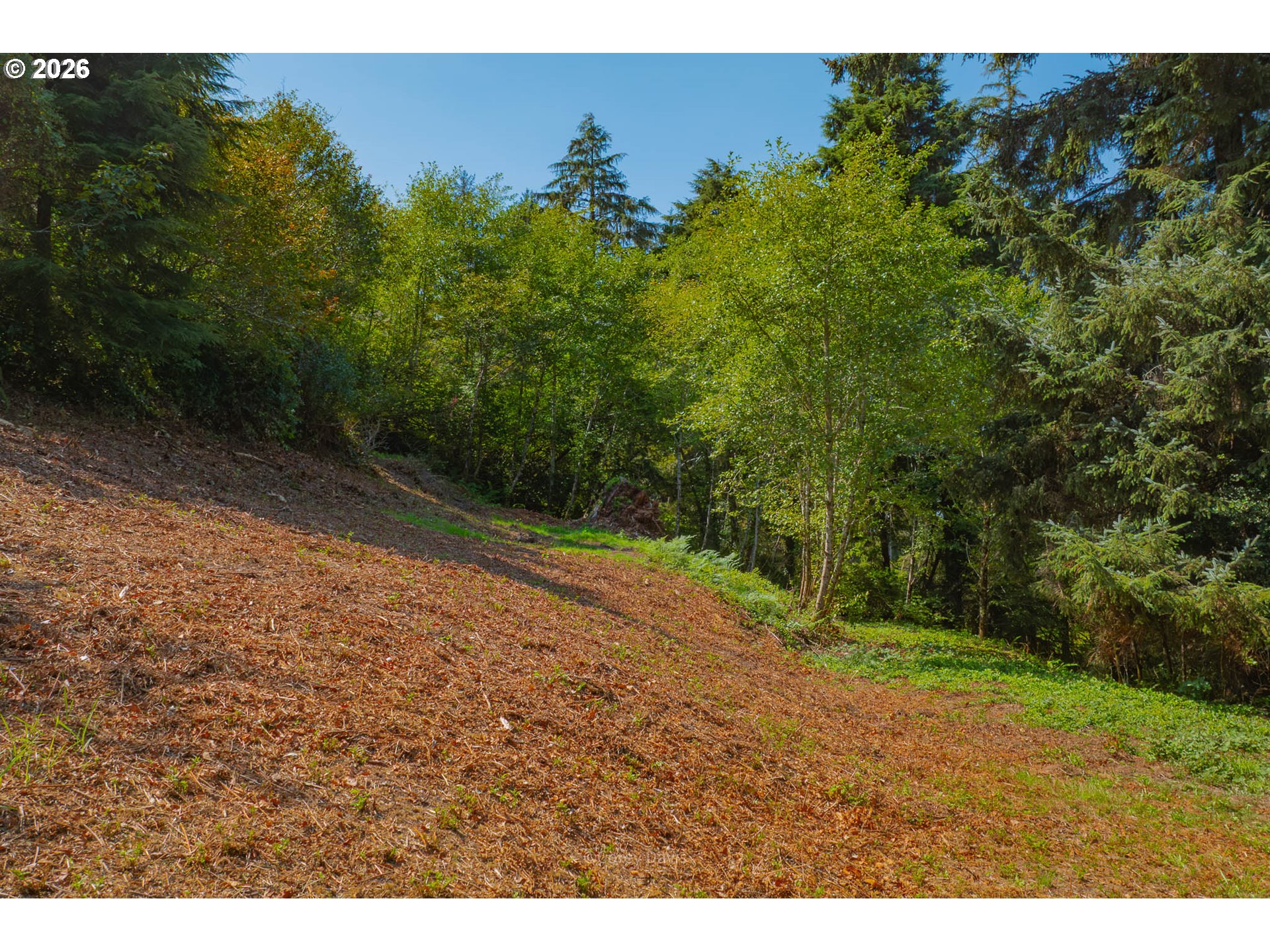 0 Dewolf Road, Unit LOT 16 Nehalem, OR 97131 - Photo 8 of 14