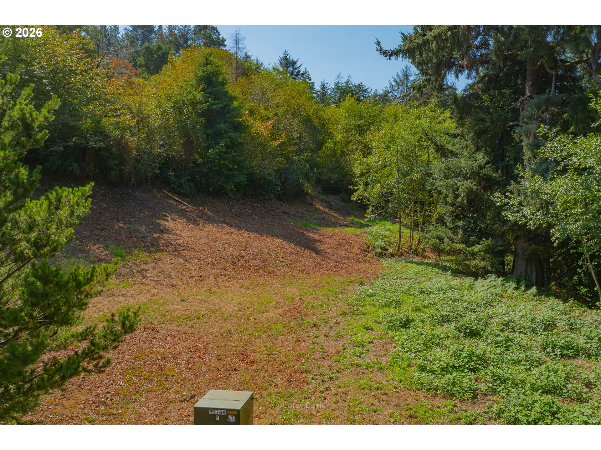 0 Dewolf Road, Unit LOT 16 Nehalem, OR 97131 - Photo 9 of 14