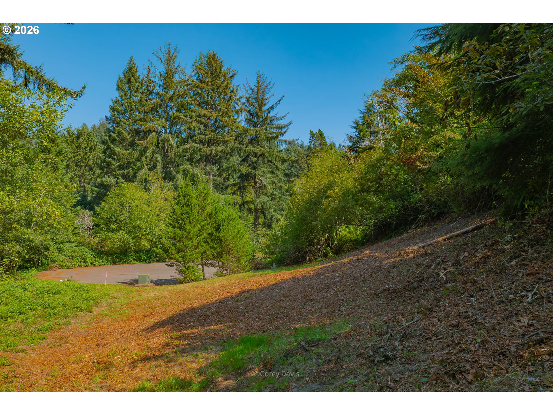 0 Dewolf Road, Unit LOT 16 Nehalem, OR 97131 - Photo 10 of 14