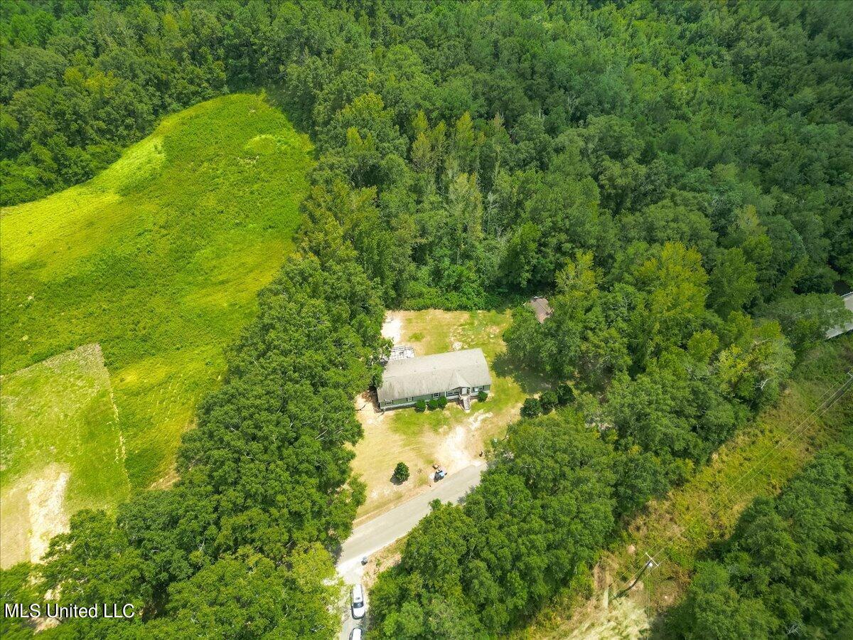 59 West Seneca Road Lumberton, MS 39455 - Photo 38 of 41 38-Aerial View