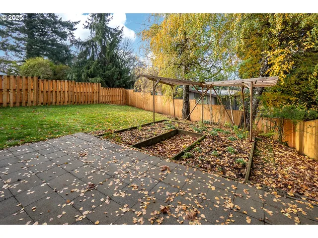 a view of a backyard