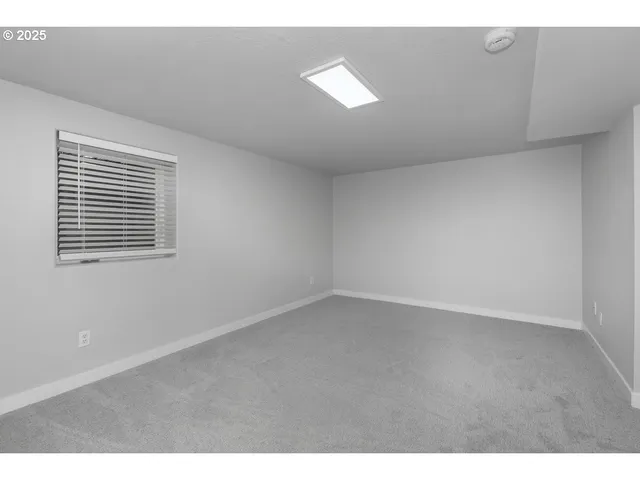 a view of yard with trees in the background