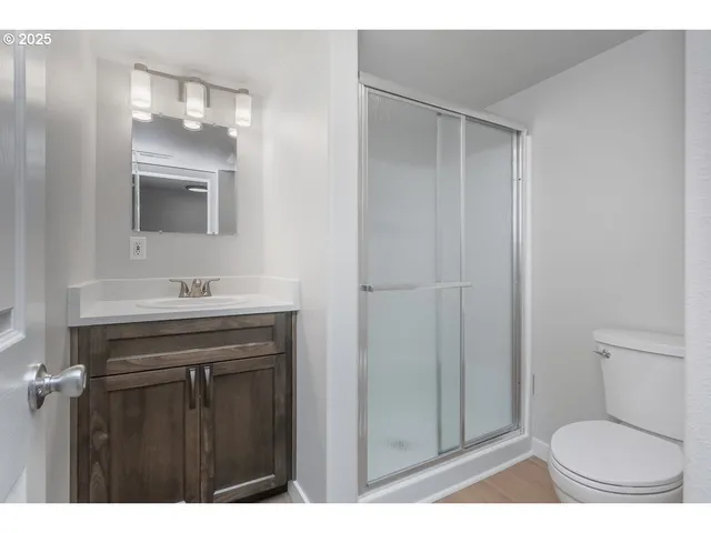 a view of a backyard with a garden and plants