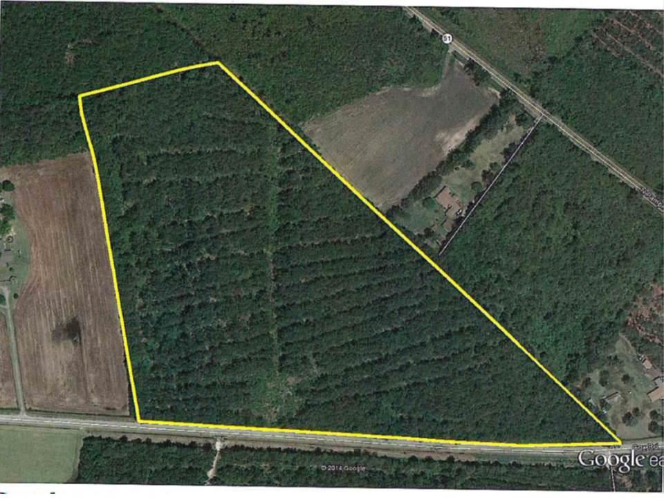 Tbd Cox Road Effingham, SC 29541 - Photo 1 of 1 Gallery Image 1