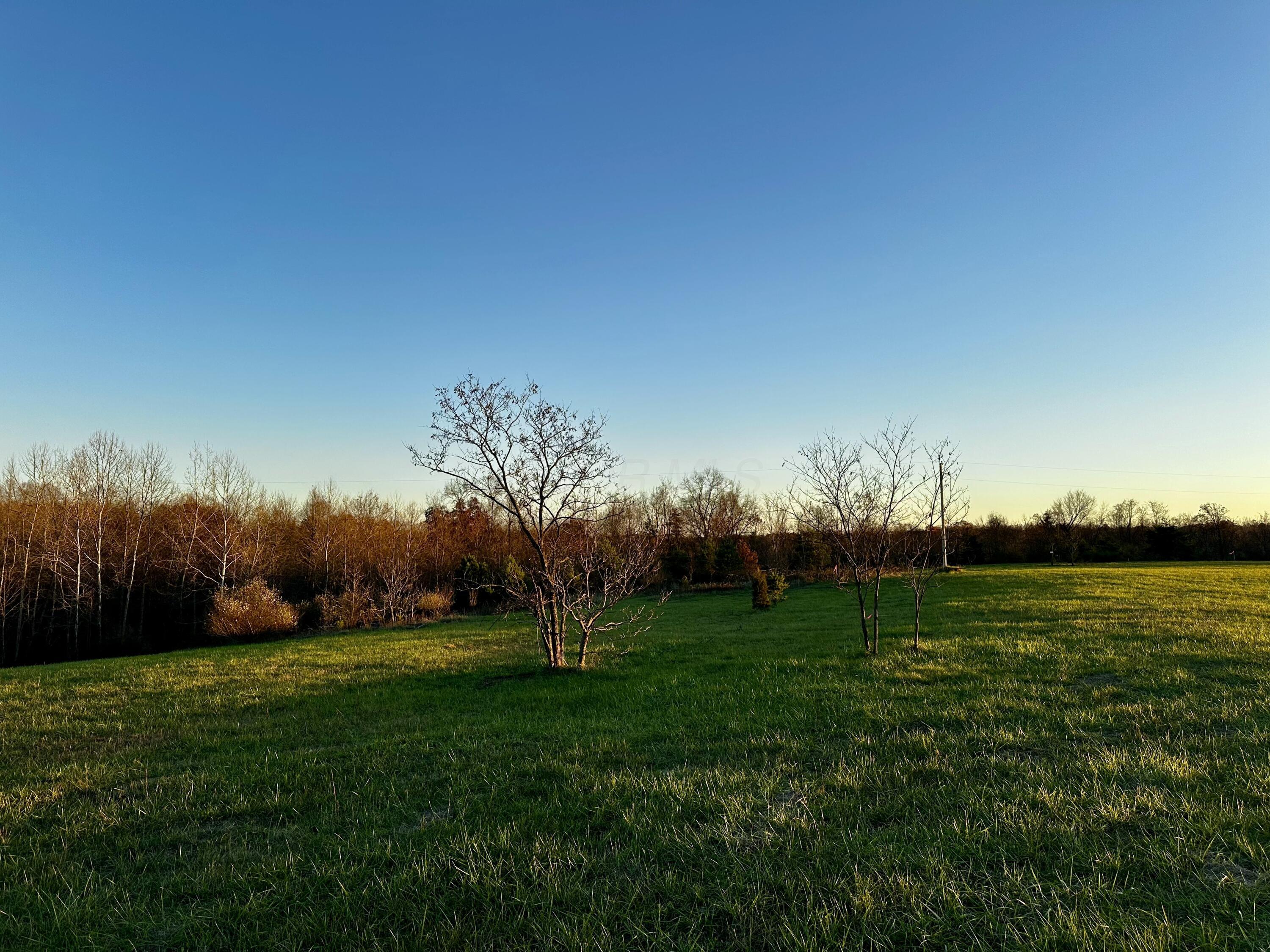 7408 Dutch Ridge Road, Unit TRACT 3 AT DUTCH RIDGE) New Straitsville, OH 43766 - Photo 7 of 29 20241111_215537294_iOS