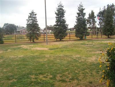 17113 Paula Road Madera, CA 93636 - Photo 3 of 20 Gallery Image 3
