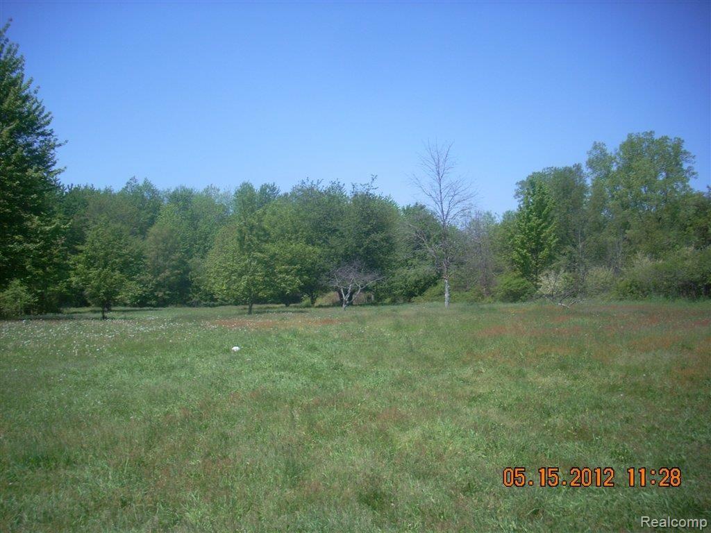 8583 Fish Lake Road Holly, MI 48442 - Photo 8 of 14 310.JPG