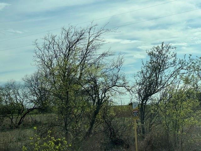 0 Brammer Drive Rhome, TX 76078 - Photo 2 of 7 View of local wilderness