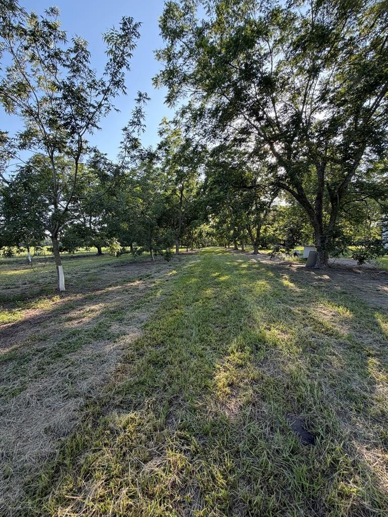 6203 Garner Road Nashville, GA 31639 - Photo 4 of 44 Gallery Image 4