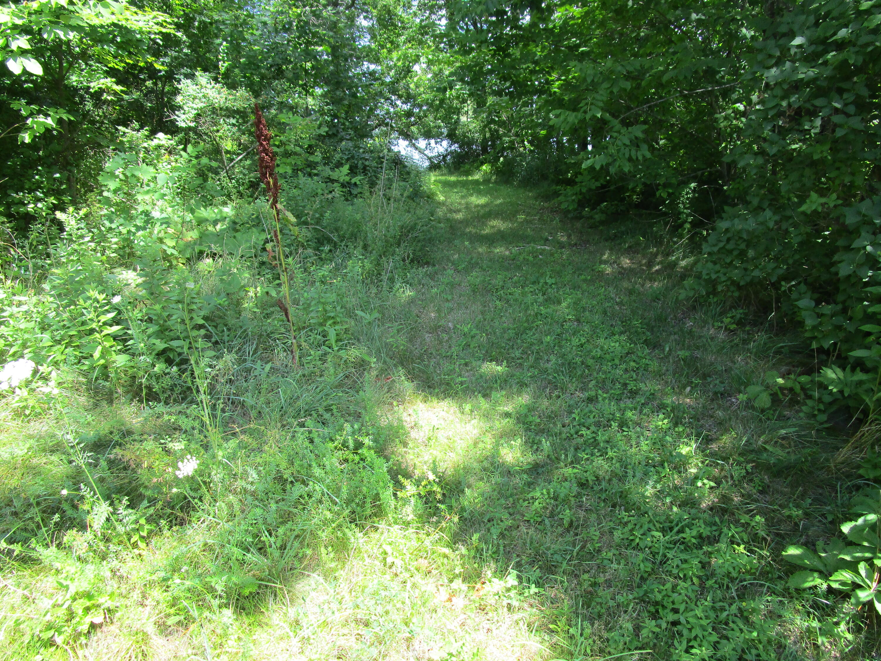 136 Branch Mills Road South China, ME 04358 - Photo 3 of 15 IMG_0720