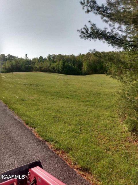 Walnut Hill Road Lancing, TN 37770 - Photo 2 of 3 walnut hill rd 1