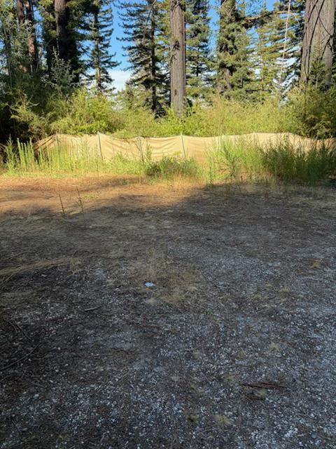 12135 Alba Road Ben Lomond, CA 95005 - Photo 3 of 4 Gallery Image 3
