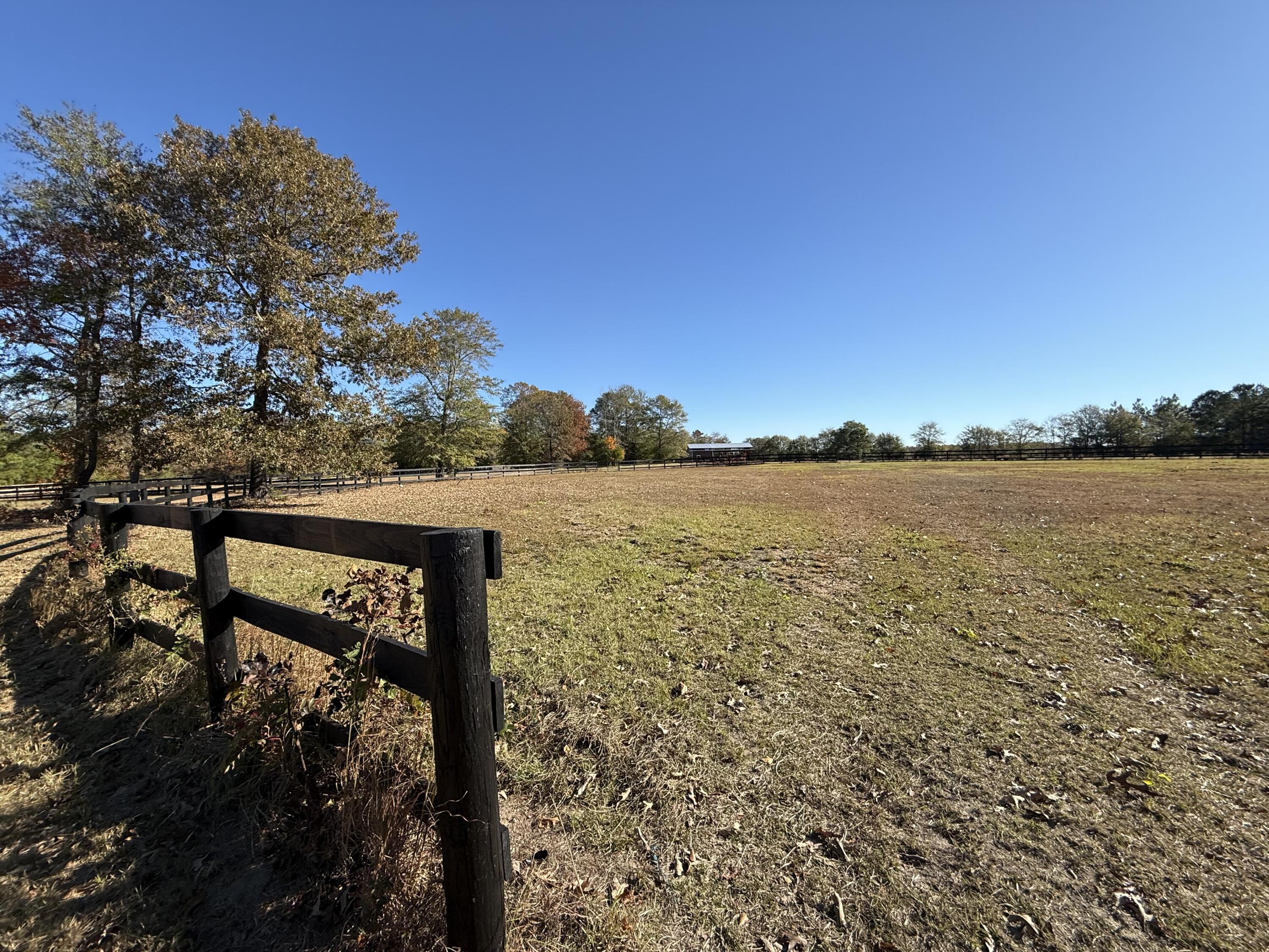 1988 Coleman Bridge Road Wagener, SC 29164 - Photo 17 of 20