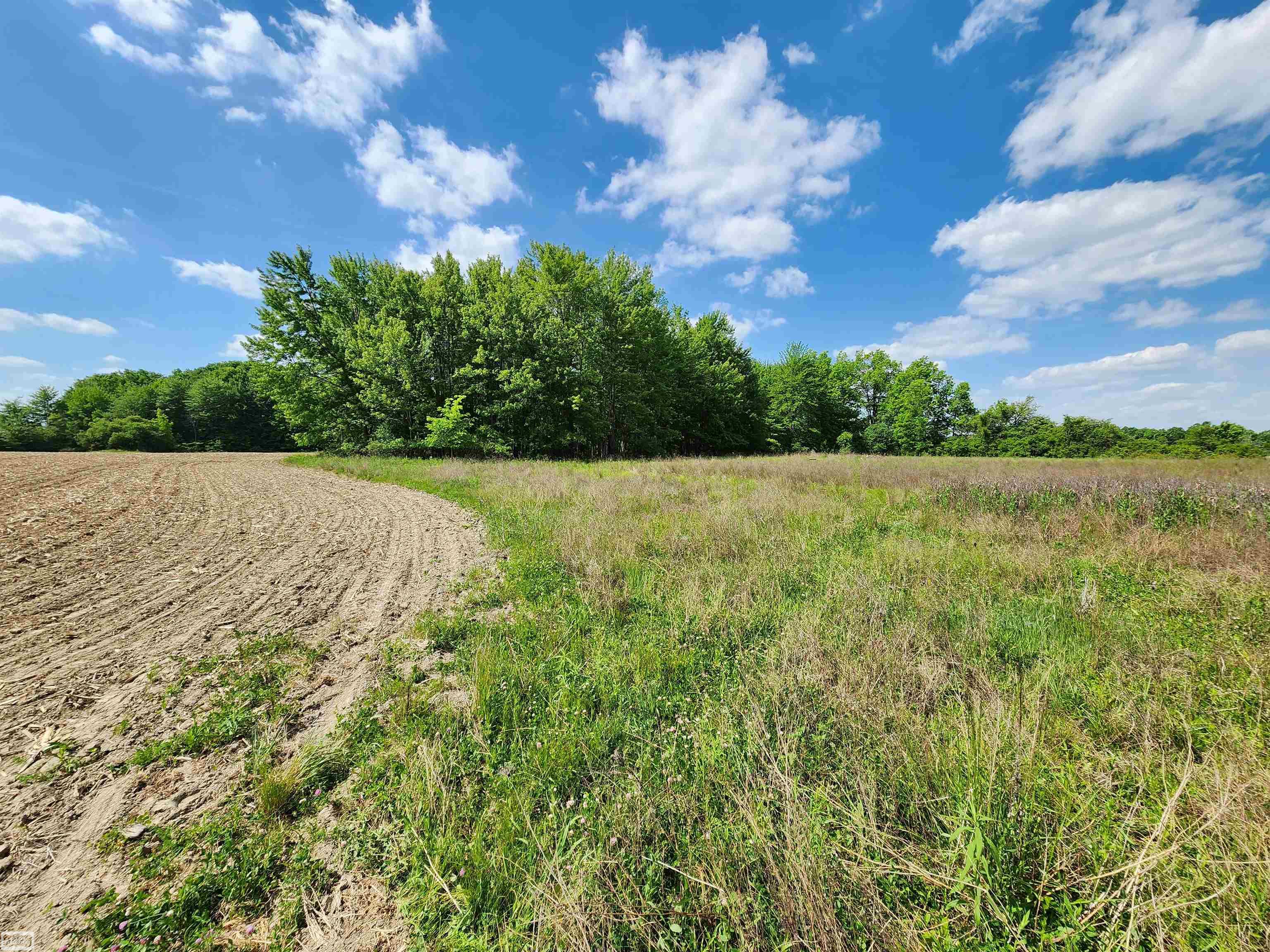 0 Brennan Road Avoca, MI 48006 - Photo 19 of 38