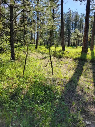 $219,000 | Nna Nna Cloverland, Asotin, WA 99402