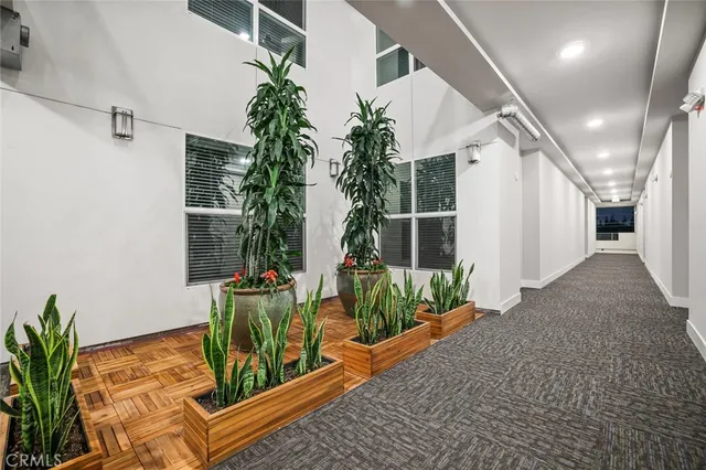 a potted plant sitting in front of a house