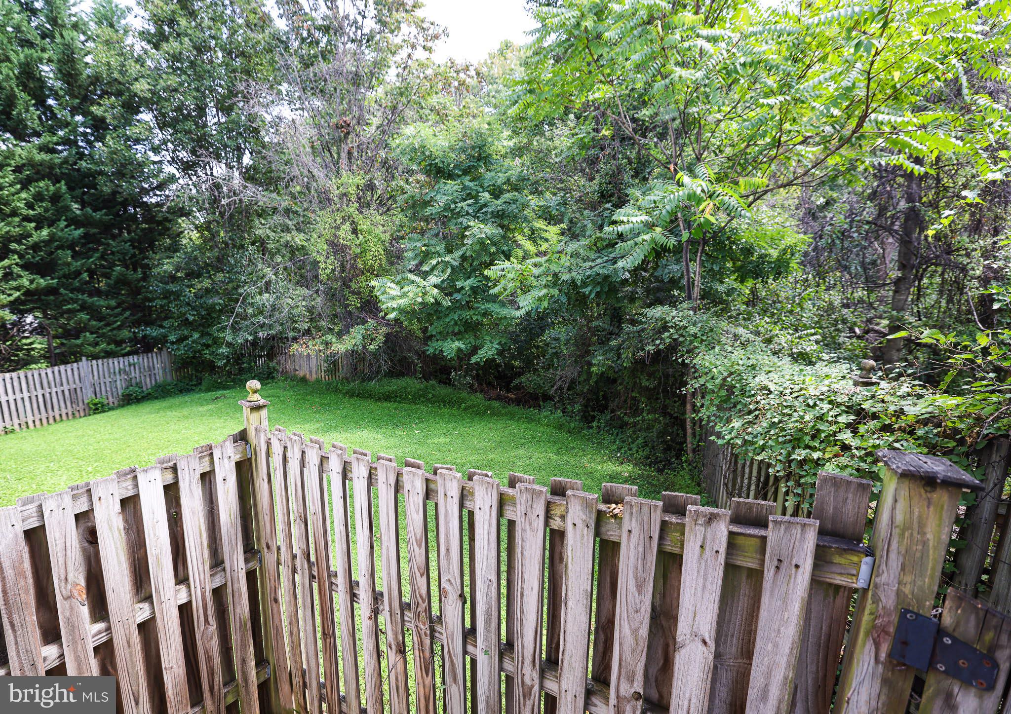 2051 Madrillon Road Vienna, VA 22182 - Photo 41 of 46 Side Yard