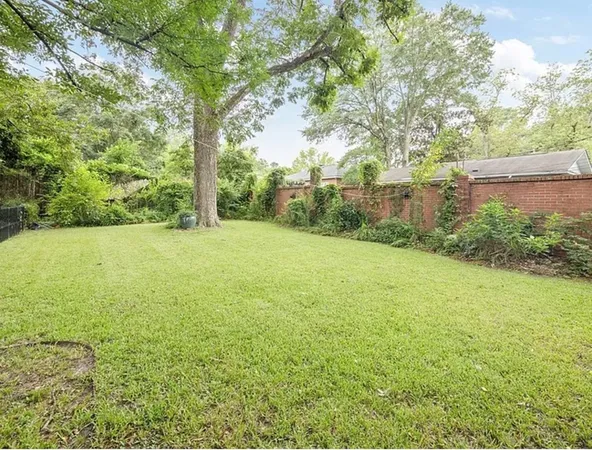 a view of a field with an trees