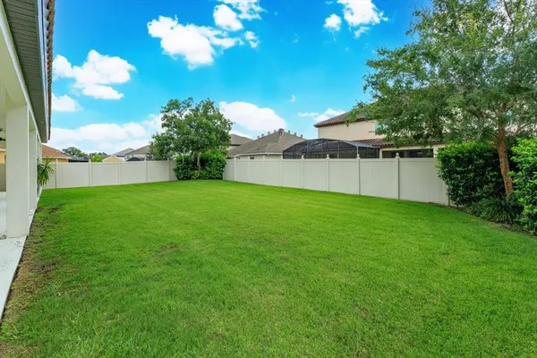 a view of a backyard with plants and large trees