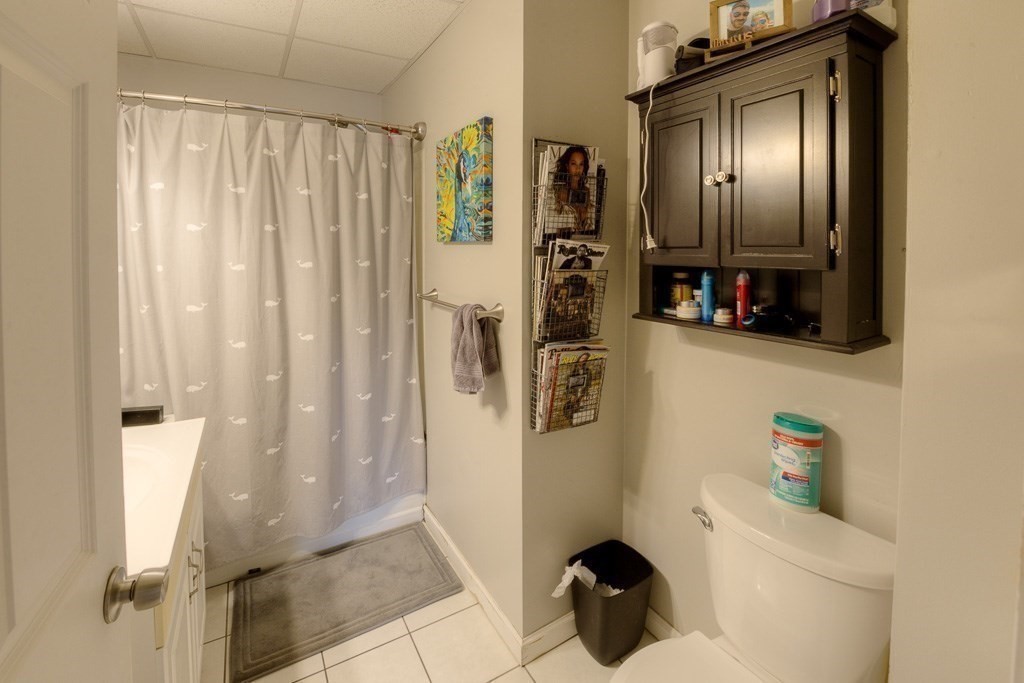 407-9 Sumner Avenue Springfield, MA 01108 - Photo 11 of 40 a bathroom with a sink a toilet a mirror and shower curtain