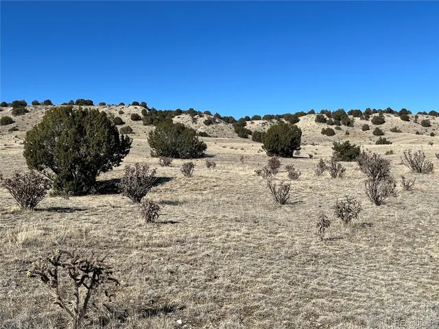 a view of beach and ocean