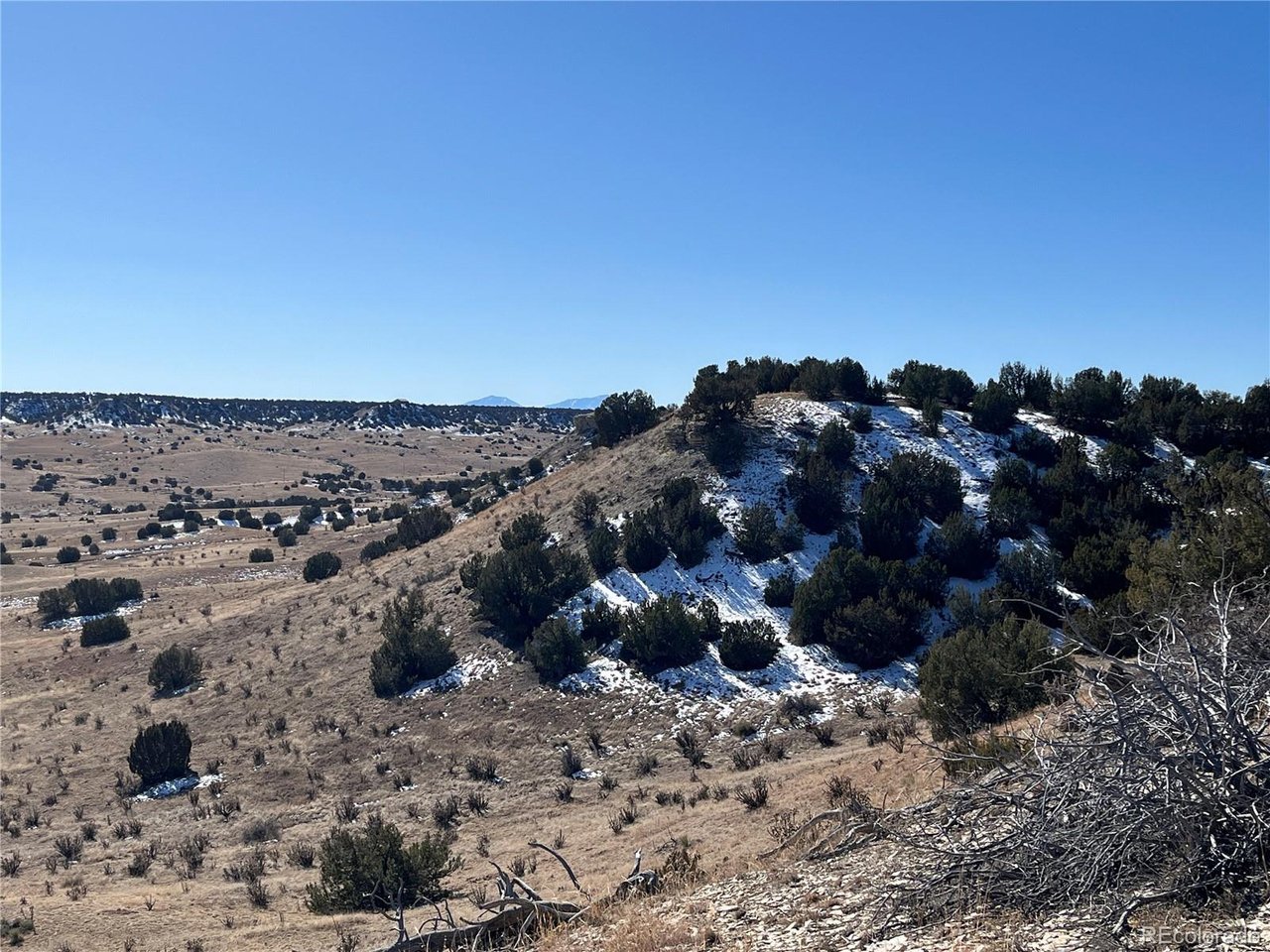53 Horse Creek Road Pueblo, CO 81004 - Photo 18 of 34 a view of a dry field with lots of trees in the background