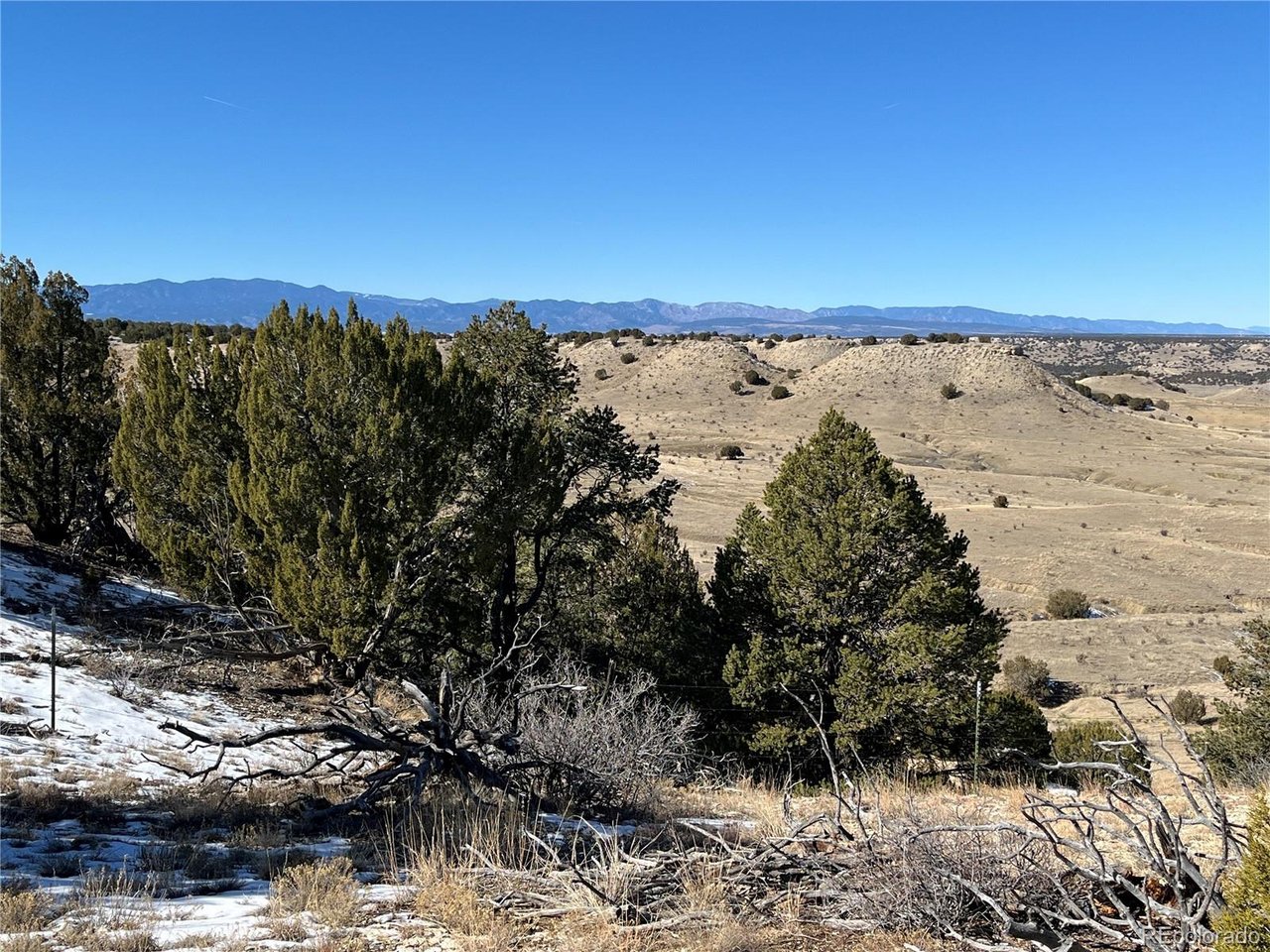 53 Horse Creek Road Pueblo, CO 81004 - Photo 26 of 34 a view of ocean view with large trees