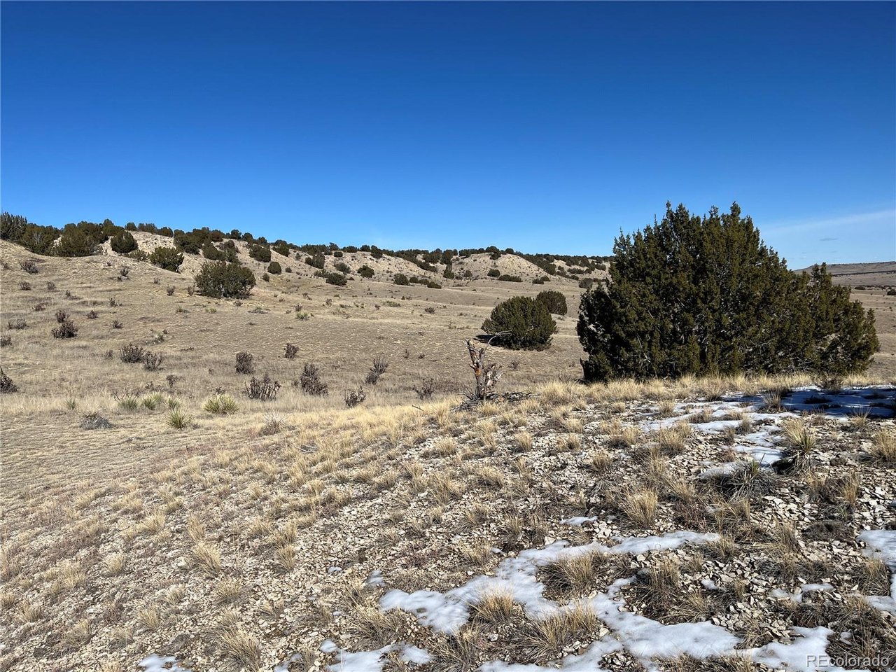 53 Horse Creek Road Pueblo, CO 81004 - Photo 32 of 34 a view of a dry yard with wooden fence