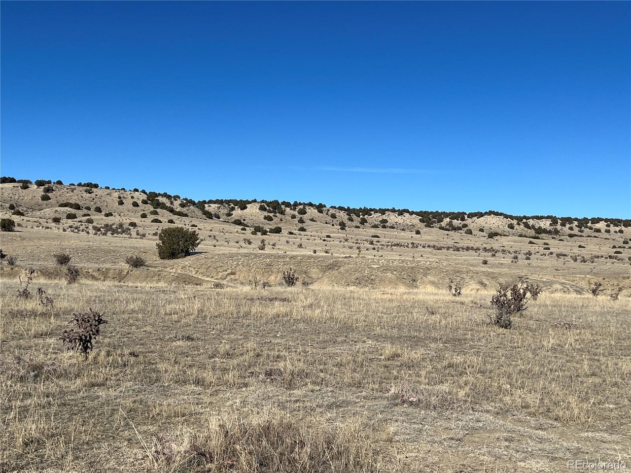 53 Horse Creek Road Pueblo, CO 81004 - Photo 9 of 34 a view of beach and ocean