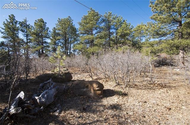 4315 Red Forest Road Monument, CO 80132 - Photo 5 of 32 private backyard