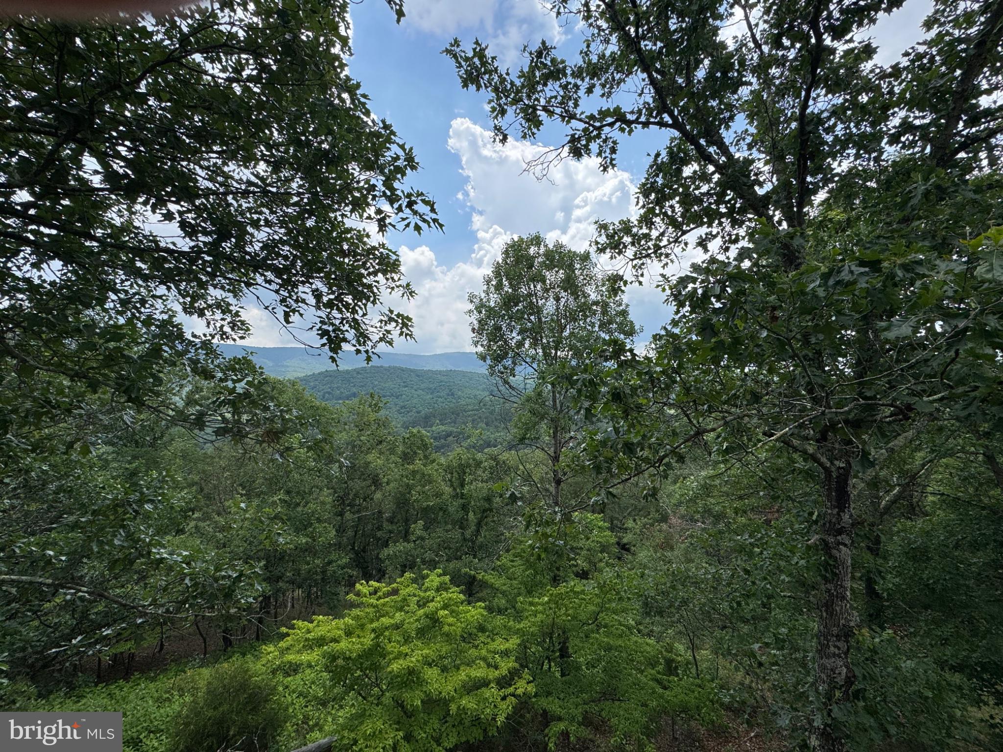 Ginevan Road Paw Paw, WV 25434 - Photo 3 of 15 Gallery Image 3