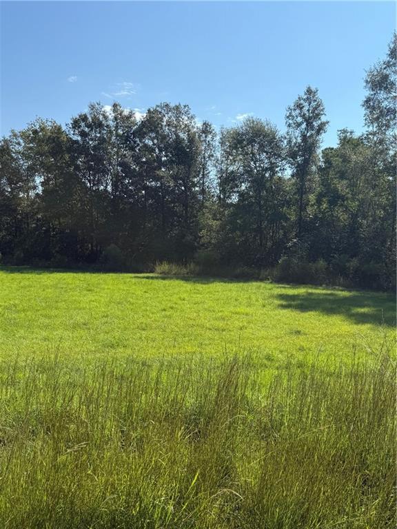Tbd Red Hill Road Independence, LA 70443 - Photo 1 of 8 Gallery Image 1