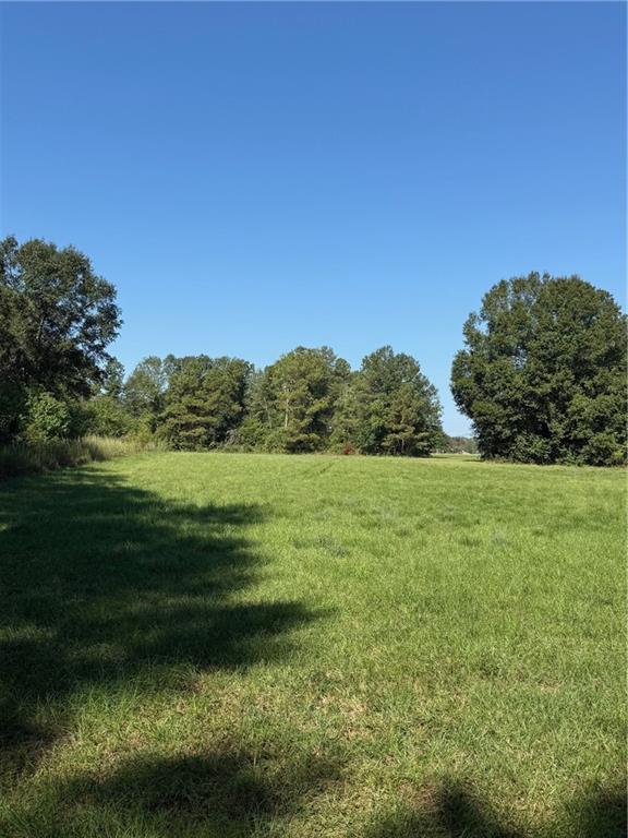 Tbd Red Hill Road Independence, LA 70443 - Photo 2 of 8 Gallery Image 2