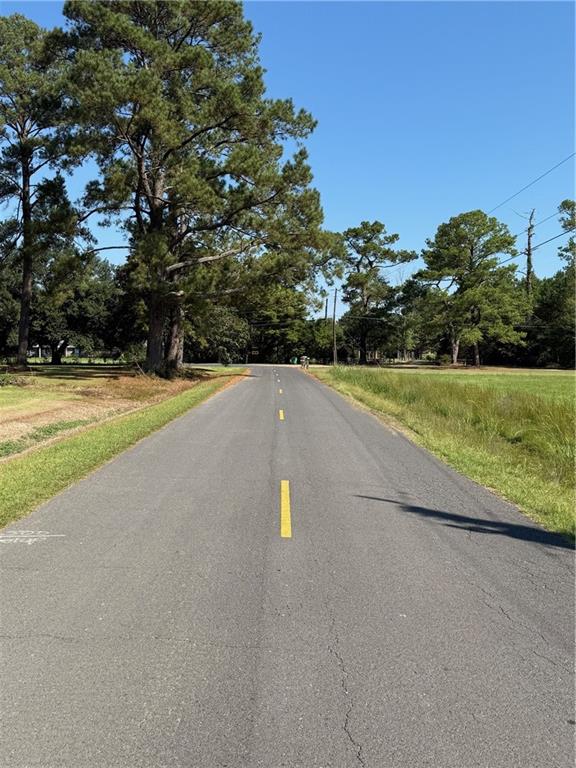 Tbd Red Hill Road Independence, LA 70443 - Photo 6 of 8 Gallery Image 6