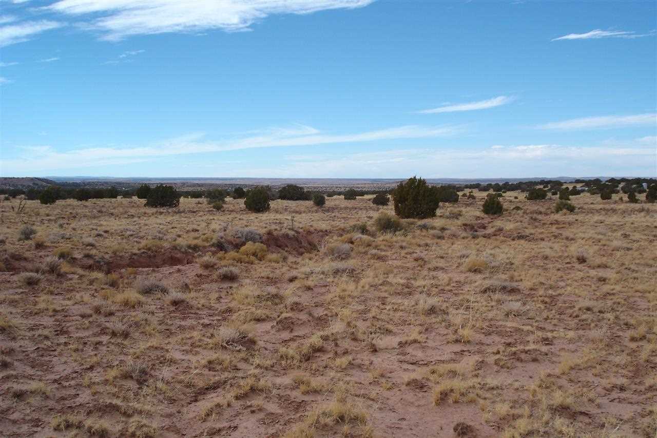 3328 Point Rock Road Snowflake, AZ 85937 - Photo 4 of 6