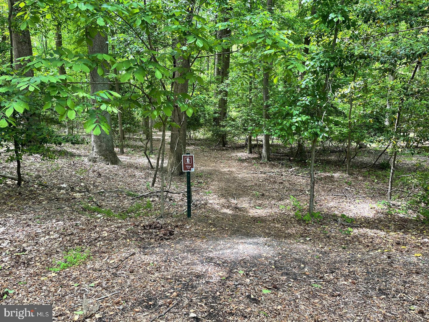 14 Decatur Avenue Annapolis, MD 21403 - Photo 53 of 64 Complete with walking trails and green space!
