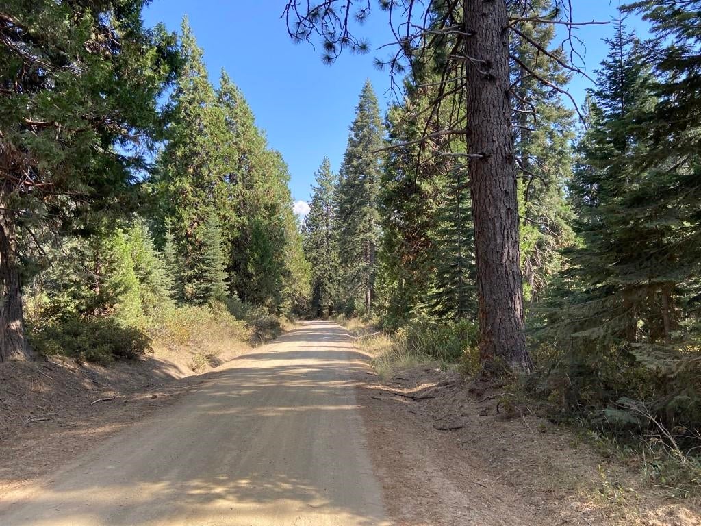 3-e-48 Red Fir Road McCloud, CA 96057 - Photo 14 of 15 Gallery Image 14