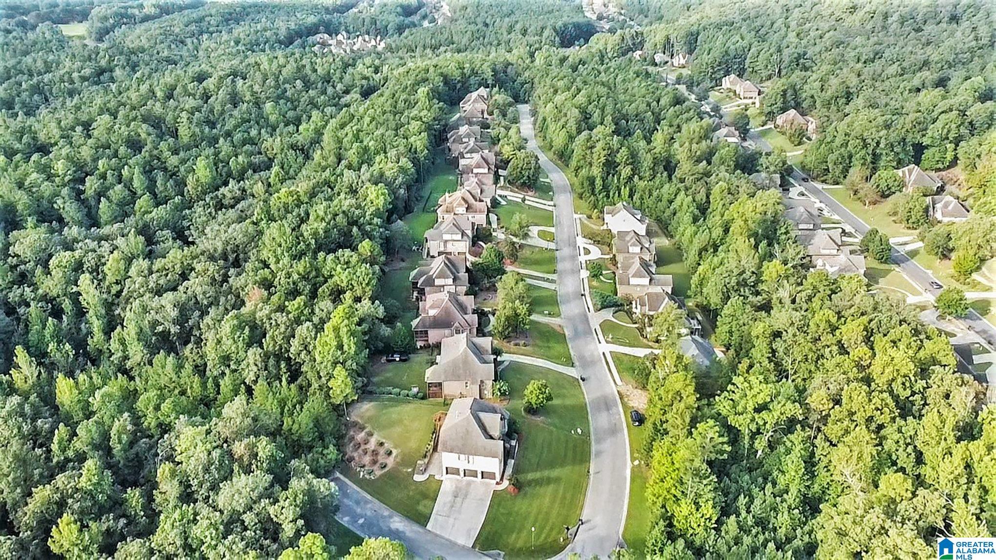 209 Stoneykirk Way Pelham, AL 35124 - Photo 43 of 55